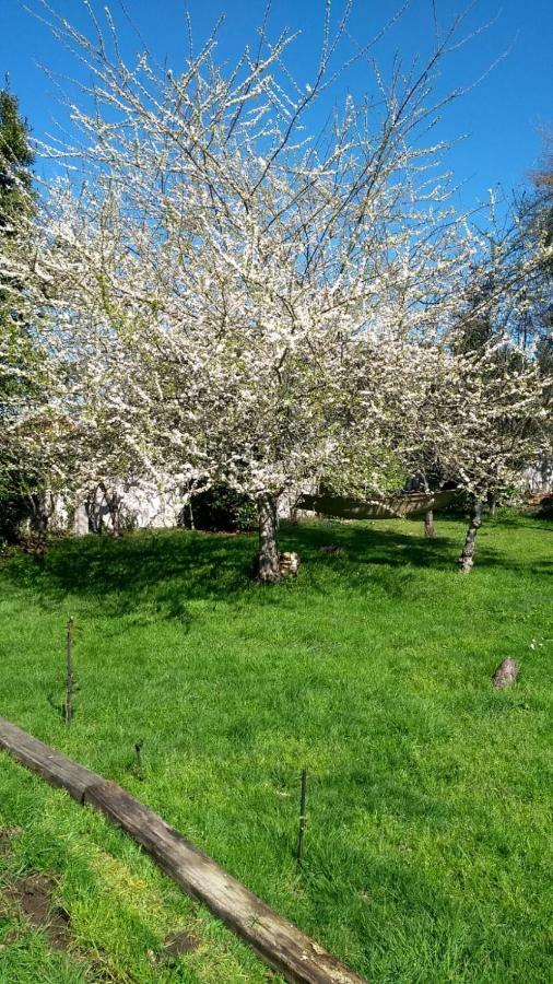 Twin Pines Camino Norte Διαμέρισμα Arzúa Εξωτερικό φωτογραφία